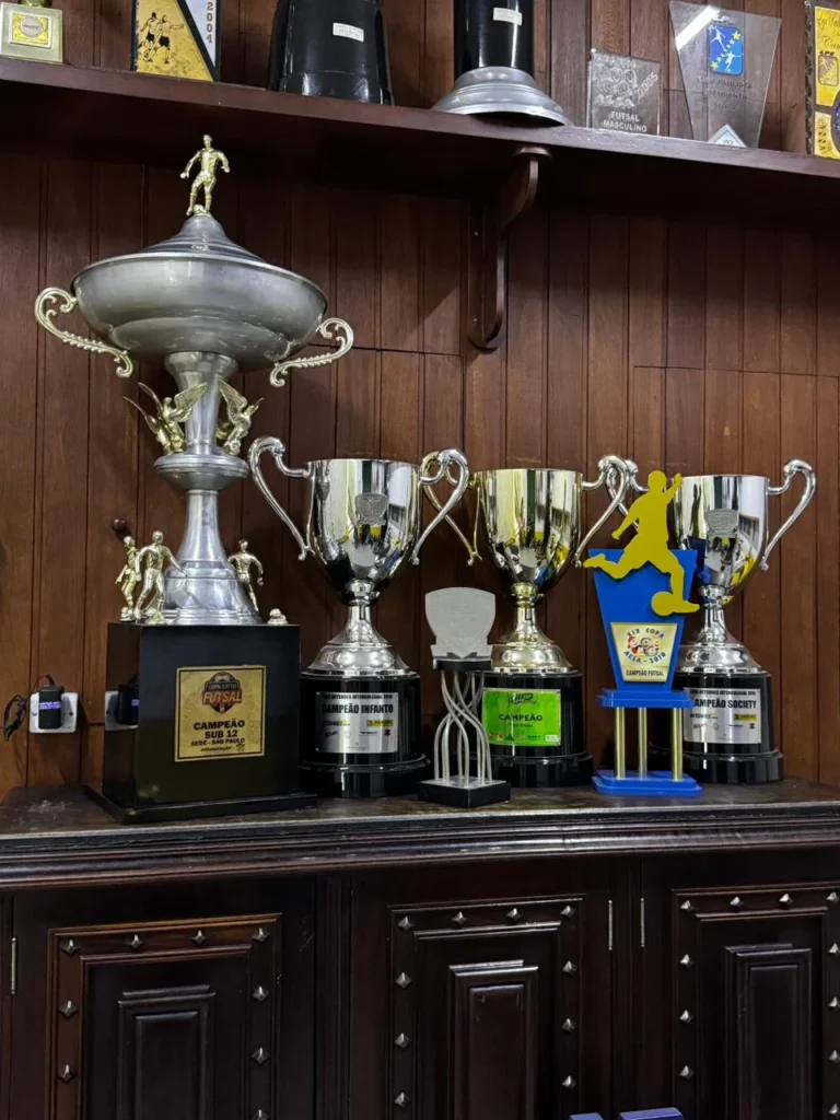 FUTSAL  & SOCIETY 2010